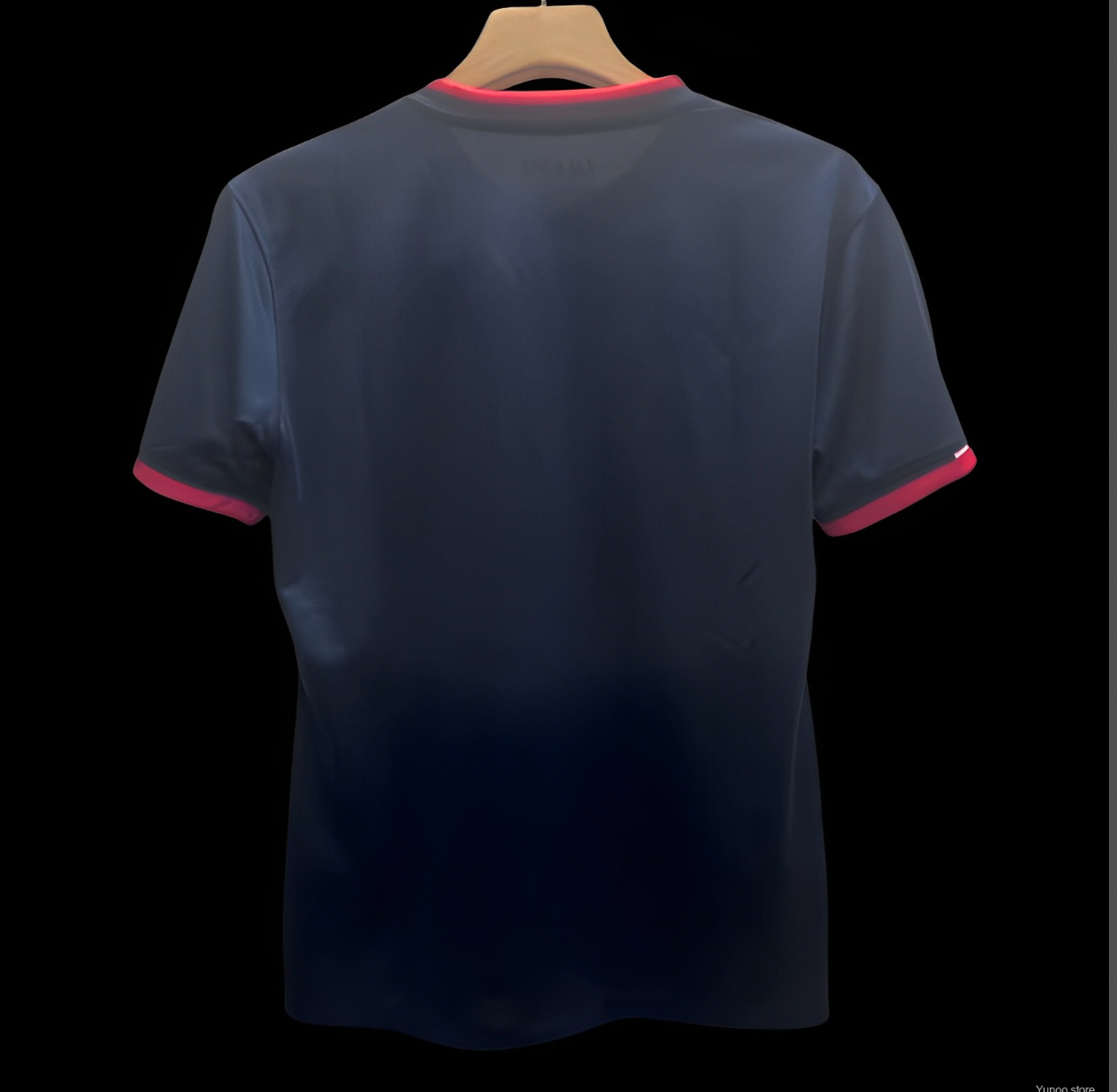AJAX JAPAN NATURE JERSEY 24/25